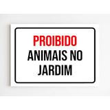 Placa Sinalização Proibido Animais No Jardim Mdf A4 20x29