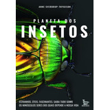 Insetos