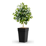 Decorativo