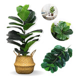 Planta Artificial Fícus Lyrata Grande Real Toque