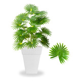 Planta Artificial Palmeira Leque Com Vaso