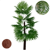 Decoração