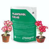 Plantafol 5-15-45 Adubo P/ Rosa Do Deserto Floração E Caudex