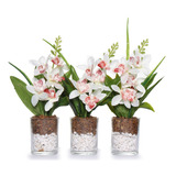 Plantas Decorativas Kit Com 3 Vasinhos