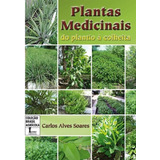 Plantas Medicinais: Do Plantio À Colheita