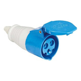 Plugue Movel Femea 2p+t 16a Azul 6h [ 14684819 ] (200v) Weg