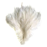 Plumas De Avestruz Flex Festa Carnaval Pronta Entrega 062