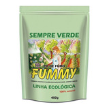 Pó De Fumo Original Killer Fummy Pó 400g