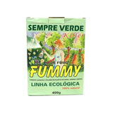 Pó De Fumo Sempre Verde Bonigo 400 G