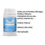 Pardal