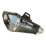 Ponteira Escapamento Esportivo Two Brothers Wtp Fibra Carbon