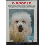 Poodle - Dvd - Sobre A