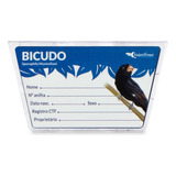 Bicudo