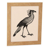 20x25cm