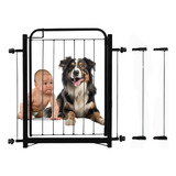 Cão
