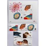 Portugal Madeira Fauna Marinha Bloco Selo Mint 2007 6,40 Eur