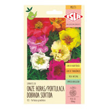 Portulaca/ Onze Horas Dobrada Sortida/ 100mg De Sementes