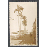 Postal Foto Brasil 15 Paranaguá Rua Quinze Anos 50