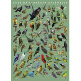 Poster De Pássaros Da Mata Atlântica