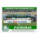 Poster Do Palmeiras - Campeão Copa Do Brasil 2015 [20x30cm]
