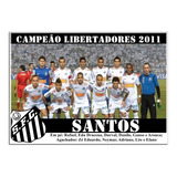 Poster Do Santos - Campeão Da Libertadores De 2011 [20x30cm]