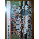 Palmeiras.
