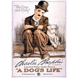 Poster Grande Charlie Chaplin 60cmx84cm Cartaz