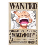 Poster One Piece Cartaz Procurado Wanted