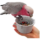 Pote Porcelana Comedouro Pássaros Com Grade- Evita Desperdíc