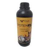 Potenfil B12 01 Litro + Bcaa + Igual Potenay 