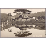 Praia De Cabeçudas - Santa Catarina - 31101926