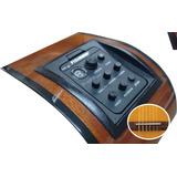 Preamp Fishman 301 Captador Para Takamine Moldura E Rastilho