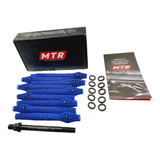 Mtr