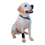 Pro 1018-10 Protetor De Punho P/ Cão E Gato (carpo) - P P P