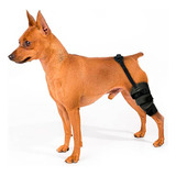 Pro 1022-20 Joelheira Para Cães E Gatos - Tamanho P P P