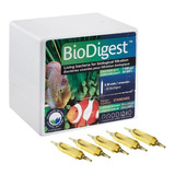 Prodibio Biodigest  Bacteria Viva Bio Digest 6 Ampolas Peixe