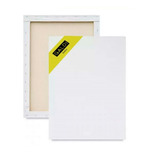 Promoção 10 Telas Para Pintura 20x30 Cm