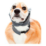 Protetor De Ouvidos Para Cães Fogos Oto Protetor Pet Med N°4