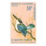 Prova Selo 365 Nova Caledônia Fauna Pássaro Martim Pescador