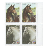 Cavalos