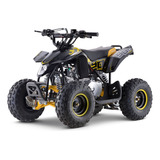 Quadriciclo Infantil Fun Motors Avalanche 90cc Amarelo