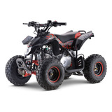 Quadriciclo Infantil Fun Motors Avalanche 90cc Vermelho
