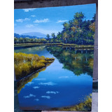 Quadro - Pintura Óleo Sobre Tela (ost) - Pantanal A Tarde