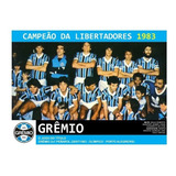 Quadro 20x30: Grêmio Campeão Da Copa Libertadores - 1983