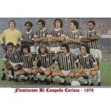 Quadro 20x30 C/ Moldura Fluminense Bí Campeão Carioca - 1976