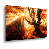 Quadro Canvas Grande Decorativo Árvore Da Vida Sol 100x70