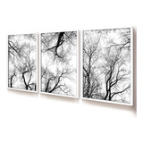40x60