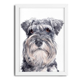 Quadro Decorativo Cachorro Schnauzer - 1071g5 - 45x33 Cm