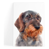 Quadro Decorativo Cachorro Schnauzer - Placa