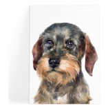 Quadro Decorativo Cachorro Schnauzer - Placa